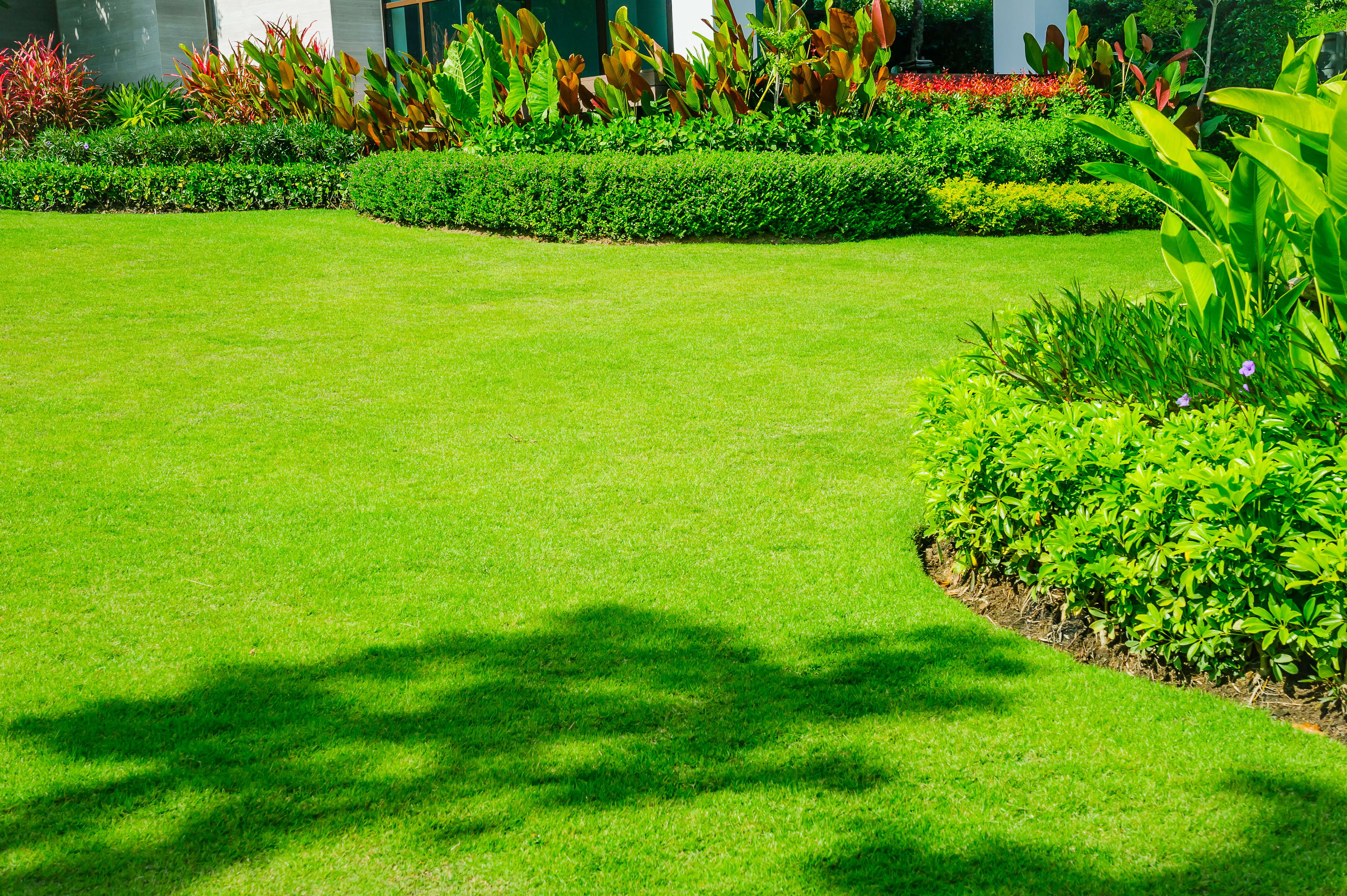 A well manicured lawn that is protected by Laughlin Electric, sump pump installer.